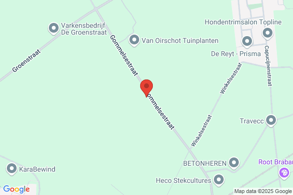 Kwekerij Van Breemen Cv