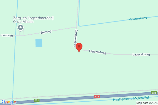 Puijk, Cees