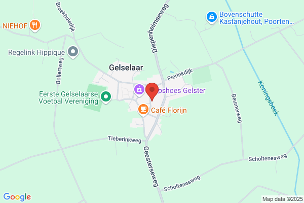 Nijntje Pluis