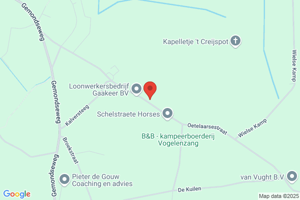 Bloemsierkunst Bergflora