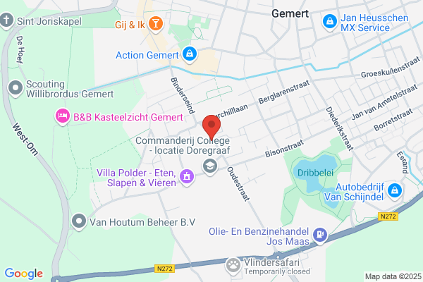 Zwaan, De