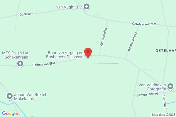 Boomverzorging en Bosbeheer Delsasso