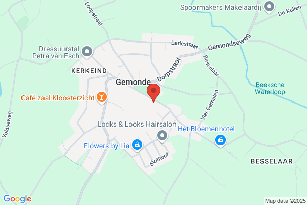 DT Coaching & Personeelsadvies