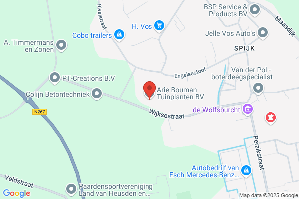 Arie Bouman Tuinplanten Bv