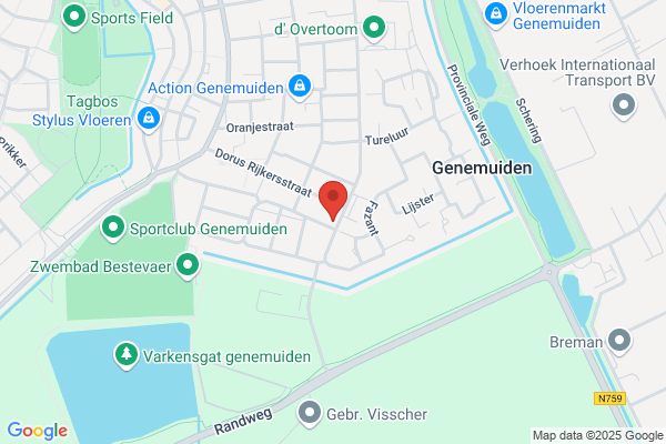 Pleijzier