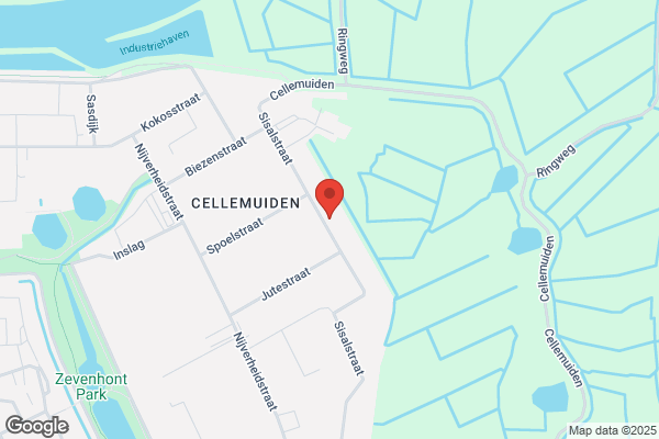 Eenkhoorn