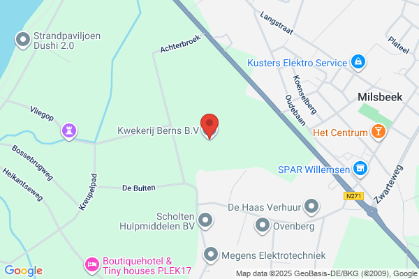 Aspergekwekerij Berns
