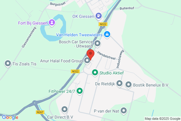 Dunes Organisatie En Advies Bv