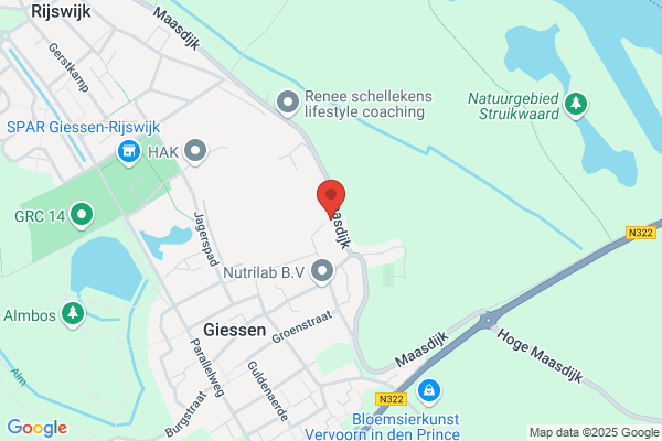 N.T. De Graaff