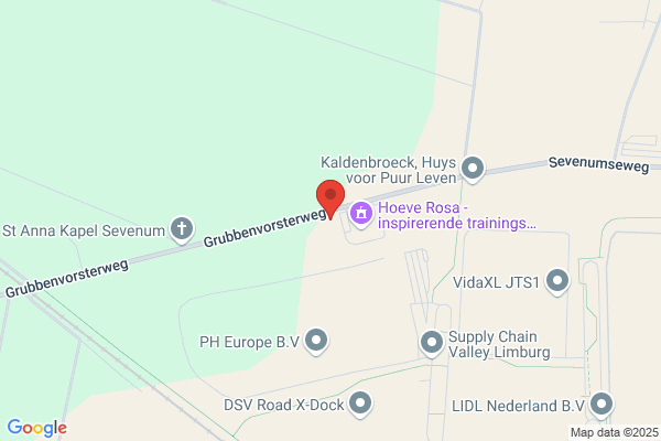 Eijking Management Informatisering Consu
