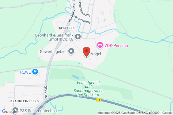 Vogel