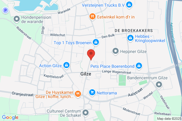 J A J Van Nuenen