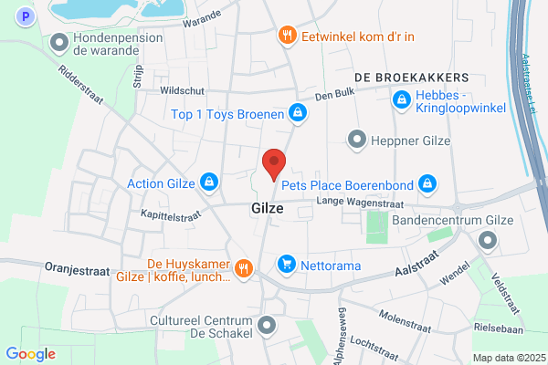 Marielle Van Hezewijk Teksten