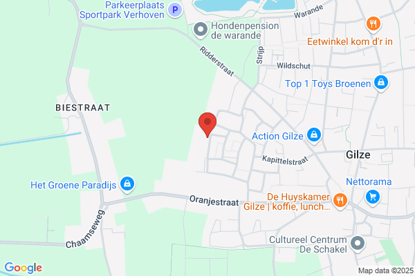 Opstal J van en Haasnoot C J