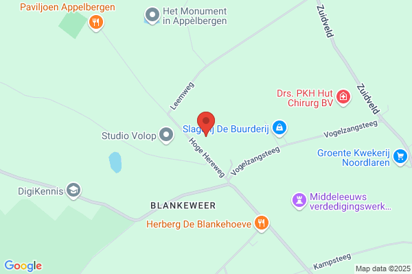 Van Oortmerssen Adviesbureau