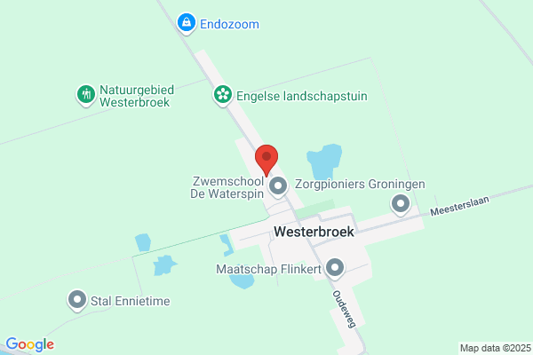 E M E Van Steenhoven