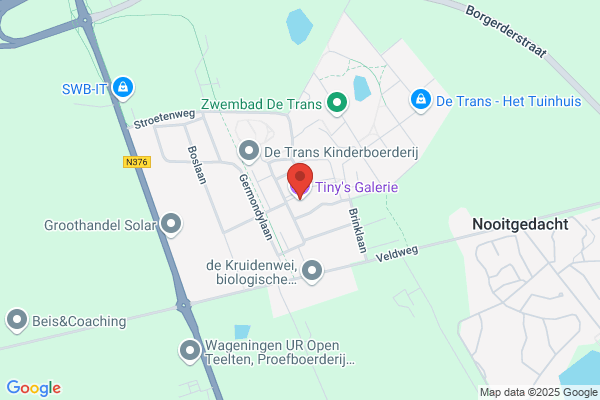 Tineke