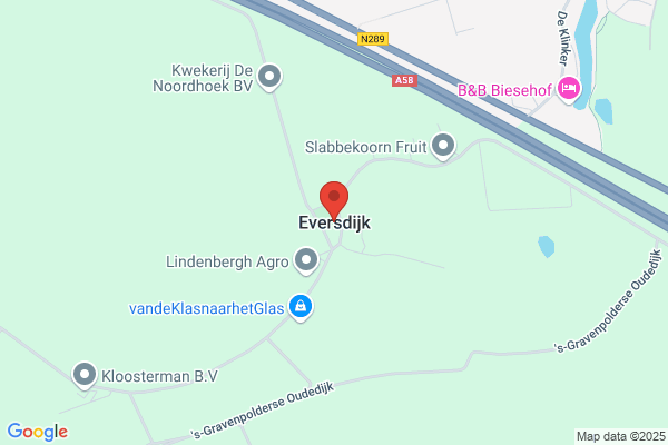 Eversdijk, N