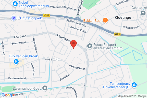 Tulp