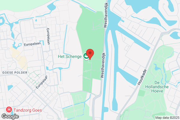Goese, Het
