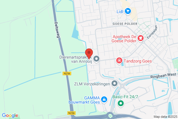 Denkelaar, Ans