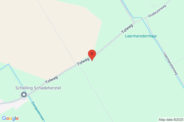 G Nijland