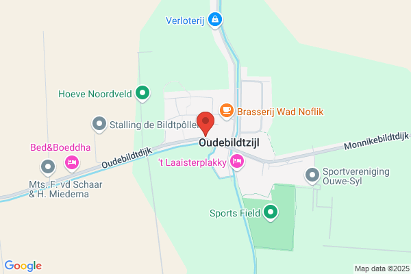 Vries, Dolf De