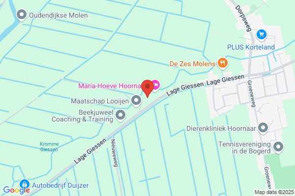 H.A. Coehoorn Management Consultancy Bv
