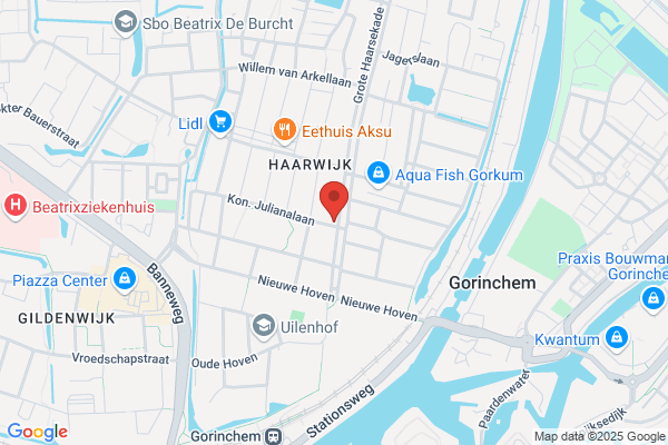 Alblasserwaardsche Og, De