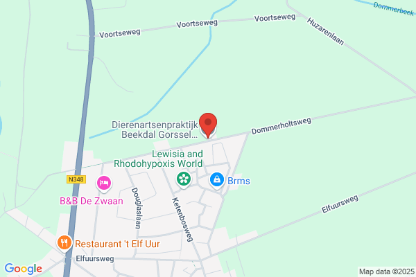 Beekdal Dierenartsenpraktijk