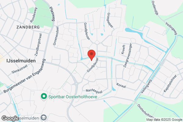 Action IJsselmuiden