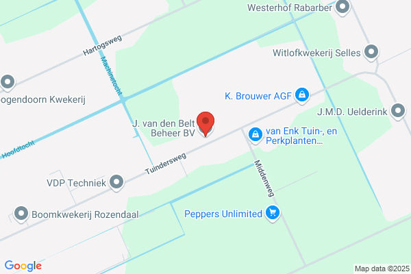 W.J. Van Den Belt