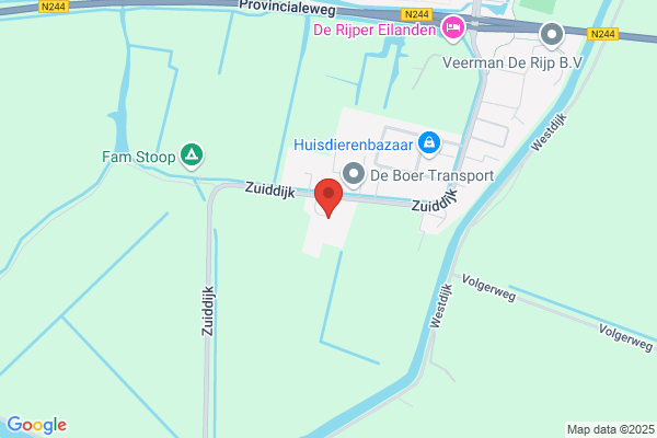 Poel BV Bloembollen