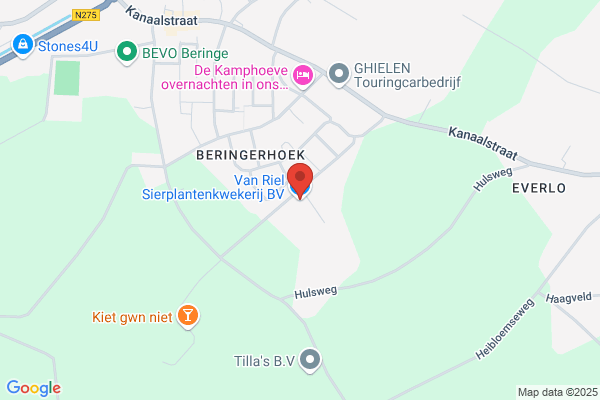 Van Riel Sierplantenkwekerij Bv