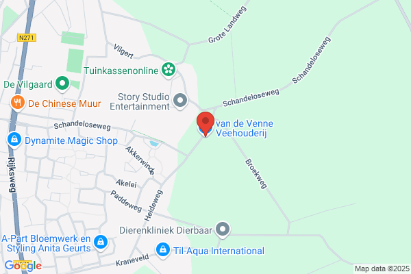 Van Der Venne Reek Cv