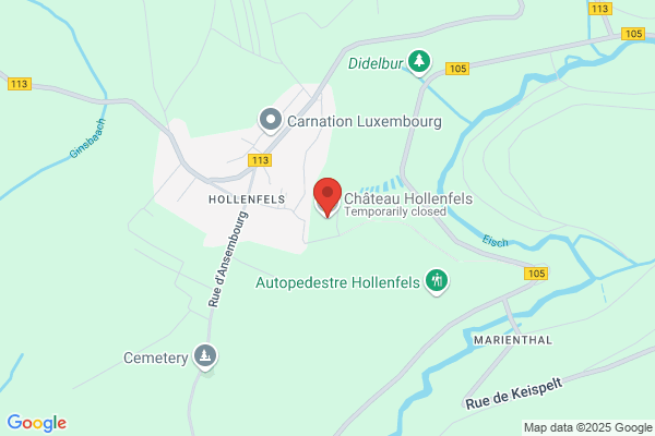 Holleman, M J C
