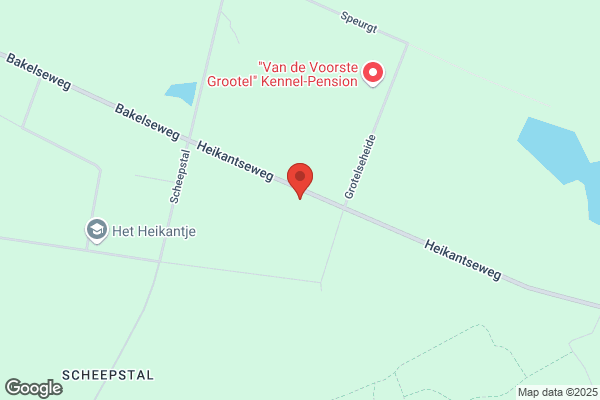 Biemans Bosbeheer