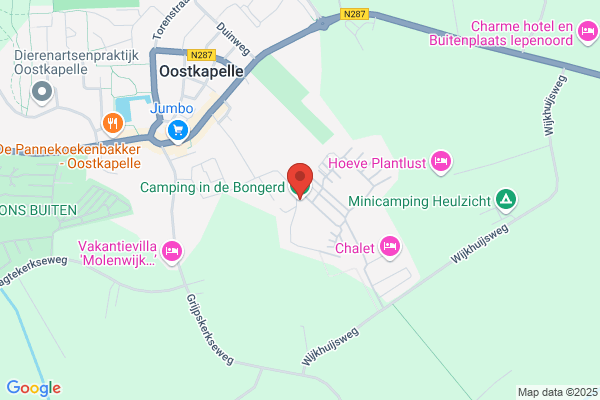 Camping In de Bongerd