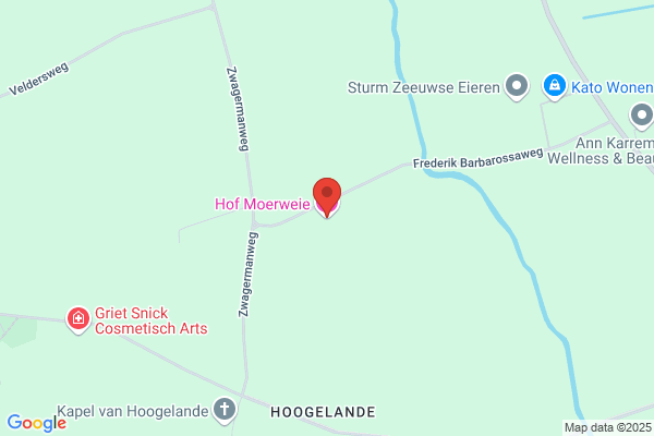 Moerbei, De