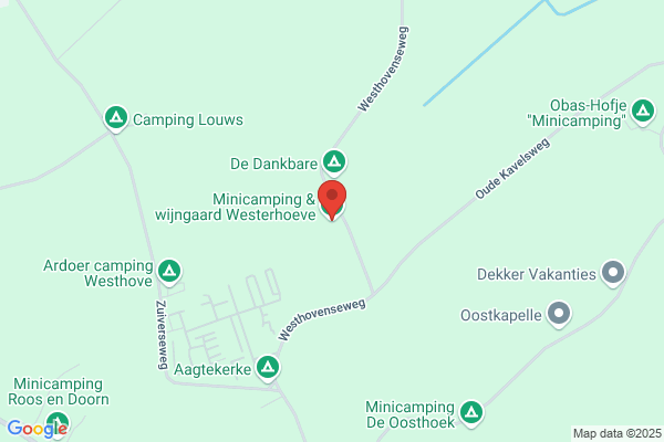 Wijngaard Westerhoeve