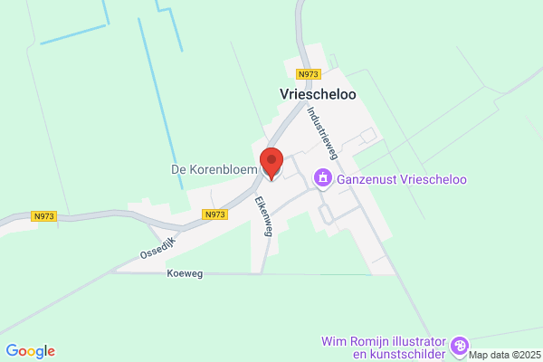 Korenbloem, De