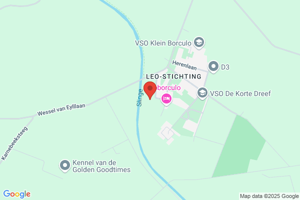 Vlinder De