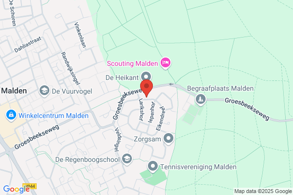 In Beweging