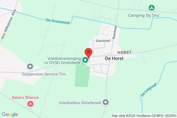 Dvsg