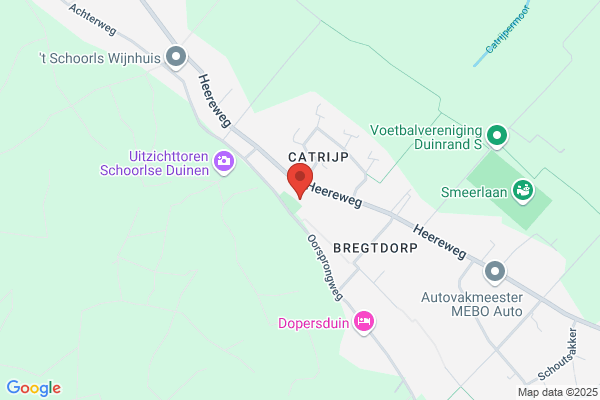 Fysiotherapie N W C Dekker