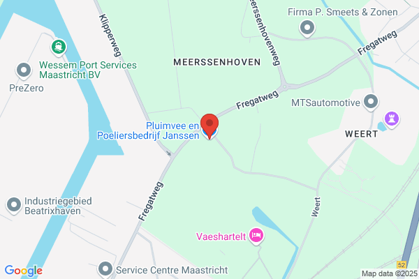 Janssen, Maria