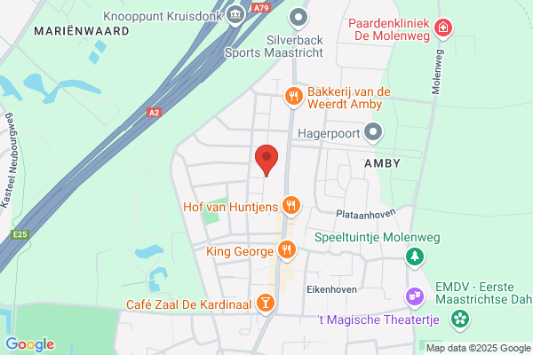 Biesmans, R