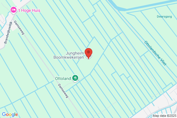 Jungheim Boomkwekerijen Ottoland