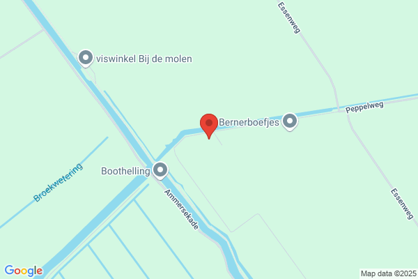 Ing. B.M.J. Van Haaren