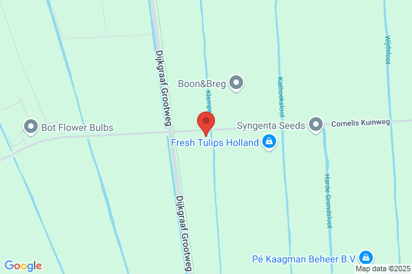 Beemsterboer
